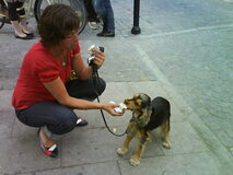 Wallander 2 Wallander 2