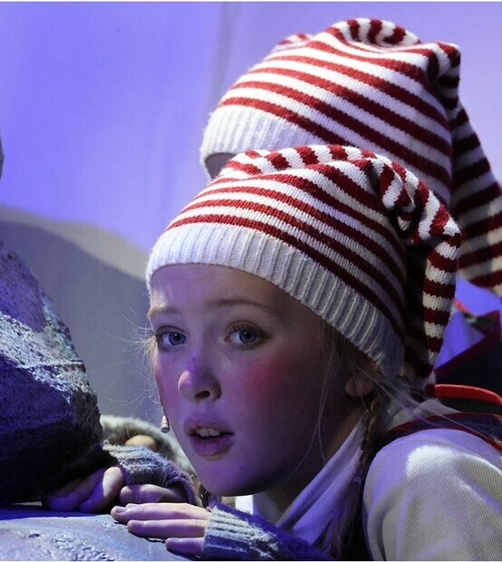 Reisen til Julestjerne