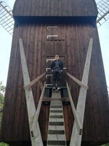 Mafia film Mafia film