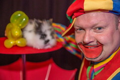 Markedsføring for meg selv