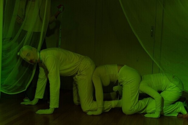 Human centipede Human centipede