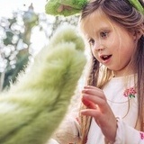 Älskar Liseberg Älskar Liseberg