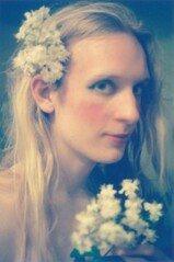 Jasminblomster Jasminblomster