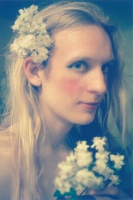 Jasminblomster Jasminblomster