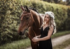 Hästfotografering Hästfotografering