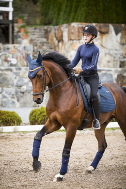 Hästfotografering Hästfotografering