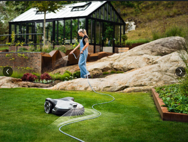 En rolig dag i trädgården