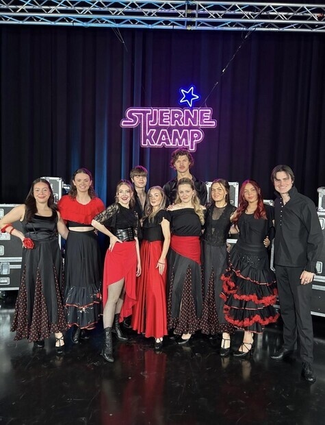 Skuespiller Stjernekamp