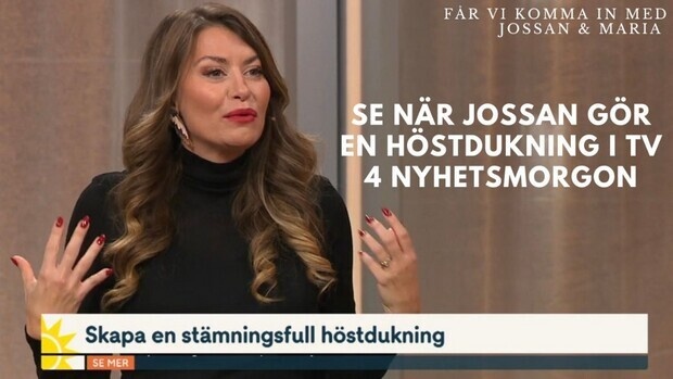 Tv 4 Nyhetsmorgon