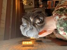 Historisk TV-dokumentar fra 1950-1960 tallet