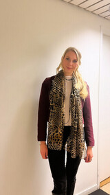 Helikopterrånet Helikopterrånet