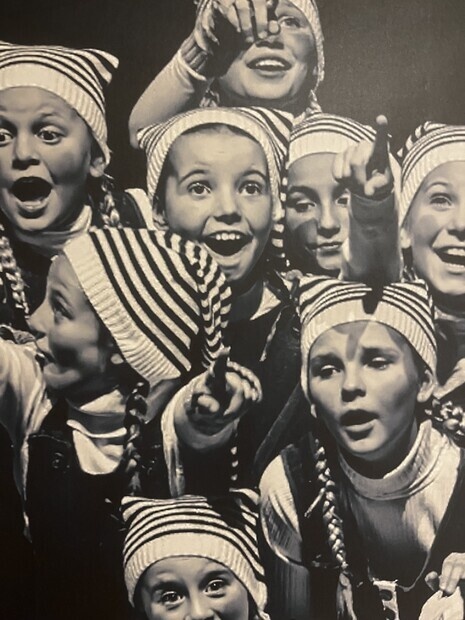 Reisen til julestjernen