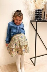 Modell