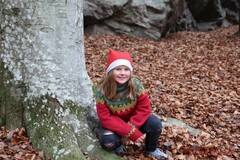 Stemningsbilder