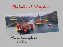 Bideford Dolphin