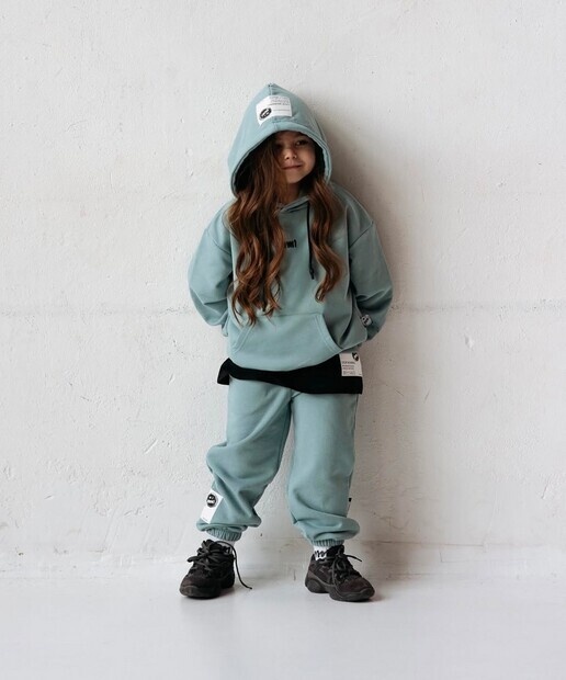 Model. Brand Mini One