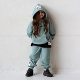 Model. Brand Mini One