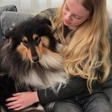 Vår hund Nellie Vår hund Nellie
