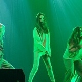 Into the Shaddows 2024