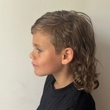 Bildet