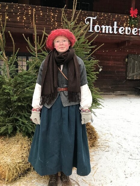 Tomtenisse