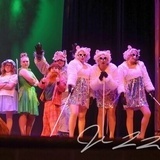 Shrek the Musical! Shrek the Musical!