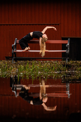 Fotografering Fotografering