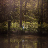 Modelluppdrag Modelluppdrag