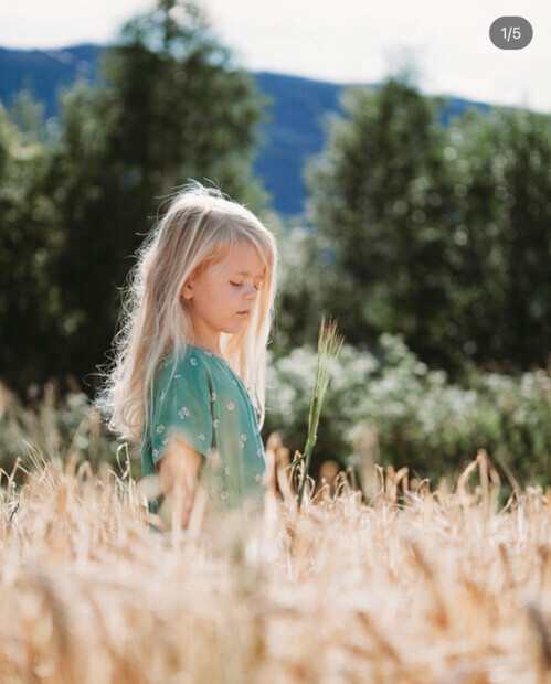 Fotojobb