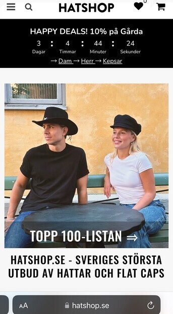 Modell för ?Hatshop?