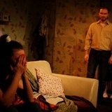 Teaching A Dillo To Cross The Road