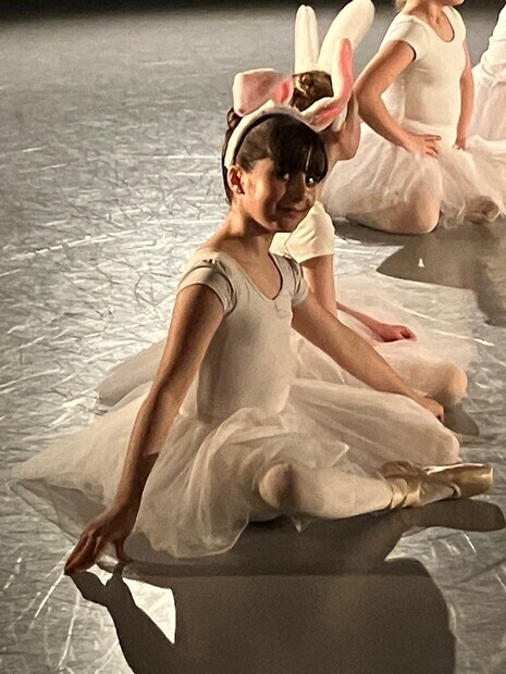 Ballet show Ballet show
