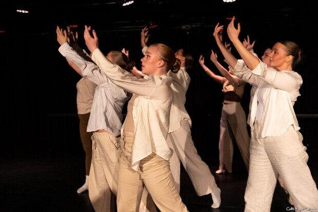 Forestilling på Bårdar