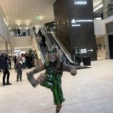 Katten Findus Katten Findus