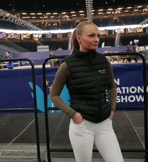 Modell i strawberry arena