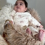 Fotografering Fotografering