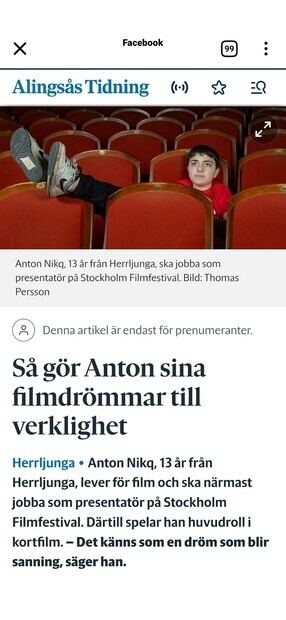 Filmfestivalen 2025 Jr Filmfestivalen 2025 Jr