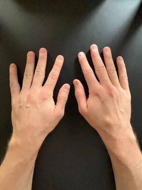 Handbild