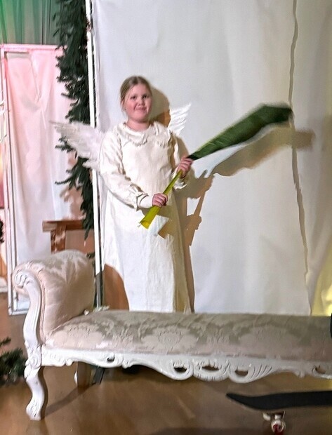 Reisen til julestjernen