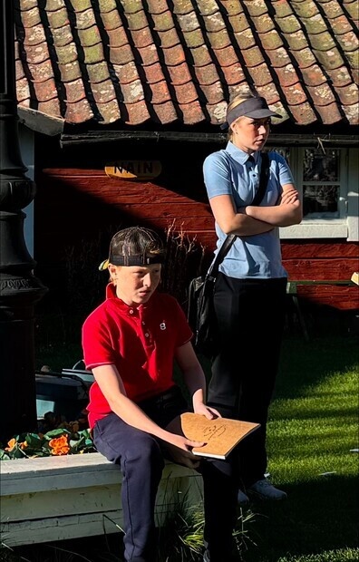 En sjuklig komedi En sjuklig komedi