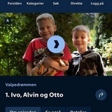 Morsom episode av Valpedrømmen på NRK Morsom episode av Valpedrømmen på NRK