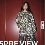 5Preview Modell
