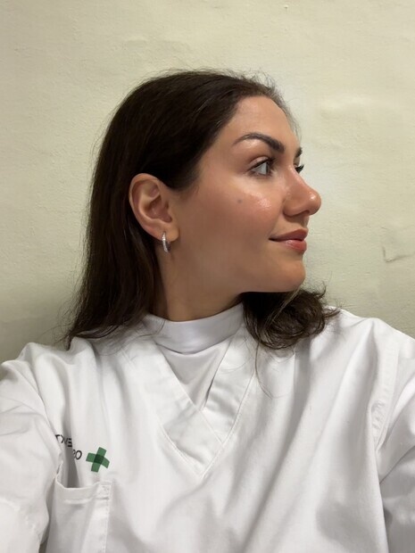 Birolle i netflix-serie