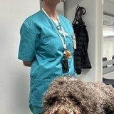 Som veterinär. Som veterinär.