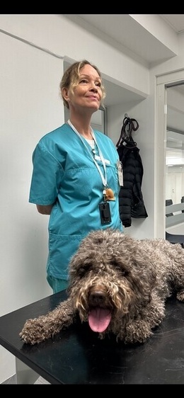 Som veterinär. Som veterinär.