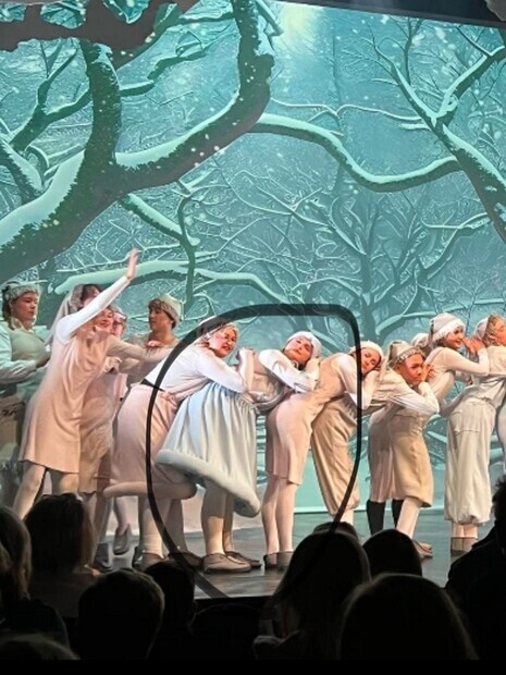 Reisen til Julestjernen