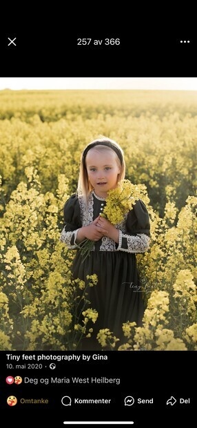 Fotojobb