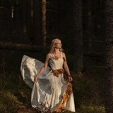Fotografering i skogen