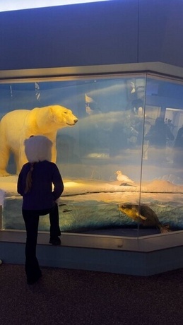 Riksmuseet Riksmuseet