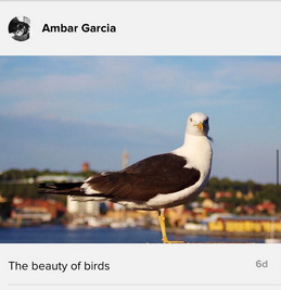 Flickr